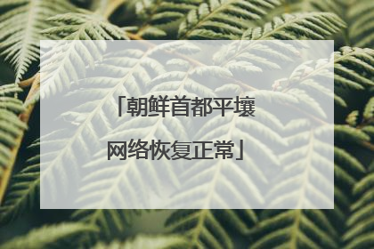 朝鲜首都平壤网络恢复正常