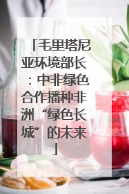 毛里塔尼亚环境部长：中非绿色合作播种非洲“绿色长城”的未来