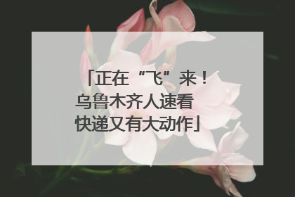 正在“飞”来！乌鲁木齐人速看 快递又有大动作