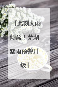 此刻大雨倾盆！芜湖暴雨预警升级