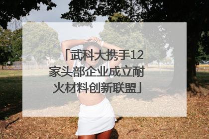 武科大携手12家头部企业成立耐火材料创新联盟