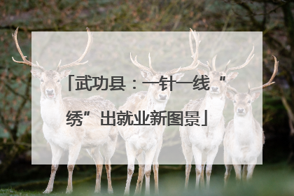 武功县：一针一线“绣”出就业新图景