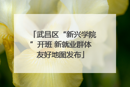 武昌区“新兴学院”开班 新就业群体友好地图发布