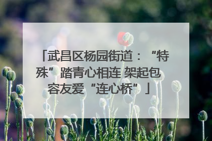 武昌区杨园街道：“特殊”踏青心相连 架起包容友爱“连心桥”