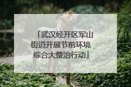 武汉经开区军山街道开展节前环境综合大整治行动