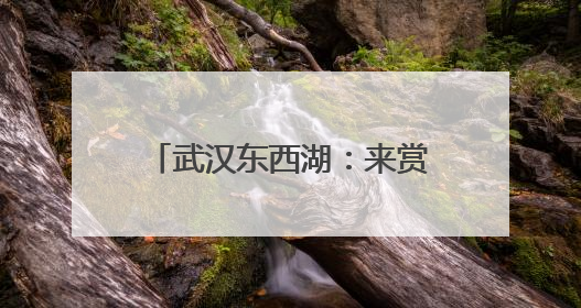 武汉东西湖：来赏荷吧，包好看的