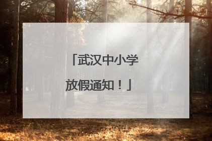 武汉中小学放假通知！