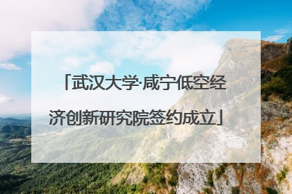 武汉大学·咸宁低空经济创新研究院签约成立