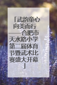 武韵童心 向美而行——合肥市天水路小学第二届体育节暨武术比赛盛大开幕