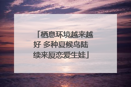 栖息环境越来越好 多种夏候鸟陆续来厦恋爱生娃