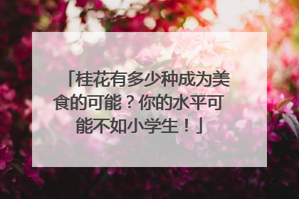 桂花有多少种成为美食的可能？你的水平可能不如小学生！