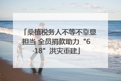 桑植税务人不等不靠显担当 全员捐款助力“6·18”洪灾重建