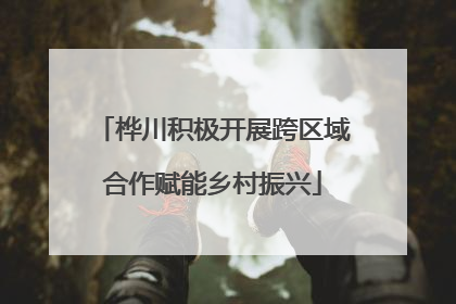 桦川积极开展跨区域合作赋能乡村振兴