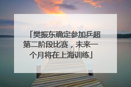 樊振东确定参加乒超第二阶段比赛，未来一个月将在上海训练