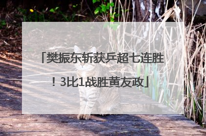 樊振东斩获乒超七连胜！3比1战胜黄友政