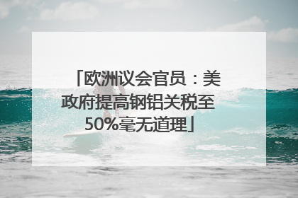 欧洲议会官员：美政府提高钢铝关税至50%毫无道理