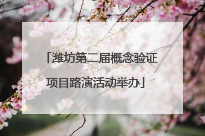 潍坊第二届概念验证项目路演活动举办