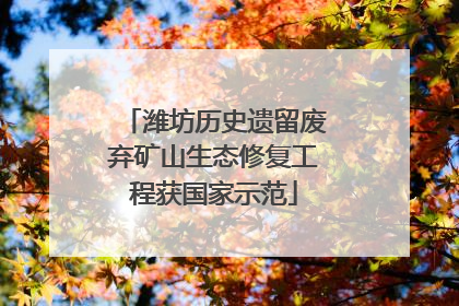 潍坊历史遗留废弃矿山生态修复工程获国家示范