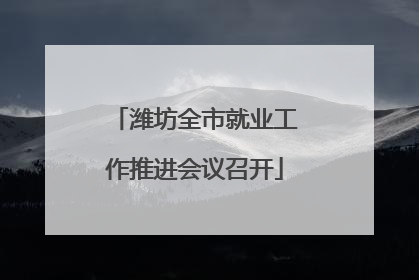 潍坊全市就业工作推进会议召开
