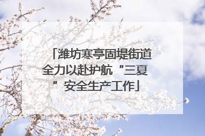 潍坊寒亭固堤街道全力以赴护航“三夏”安全生产工作