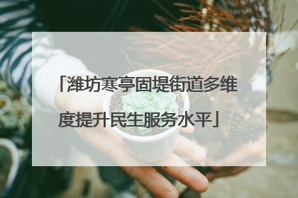 潍坊寒亭固堤街道多维度提升民生服务水平