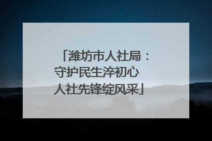 潍坊市人社局：守护民生淬初心 人社先锋绽风采