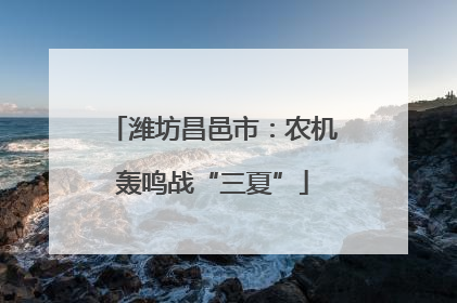 潍坊昌邑市：农机轰鸣战“三夏”