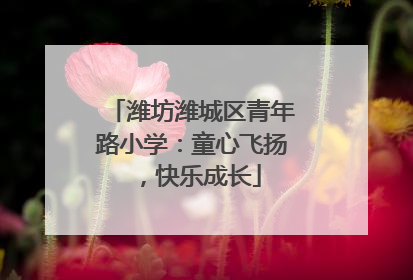 潍坊潍城区青年路小学：童心飞扬，快乐成长