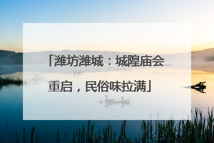 潍坊潍城：城隍庙会重启，民俗味拉满