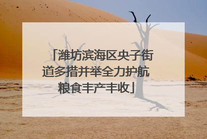 潍坊滨海区央子街道多措并举全力护航粮食丰产丰收