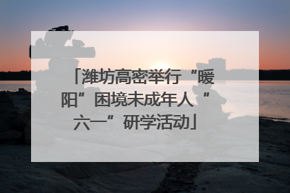 潍坊高密举行“暖阳”困境未成年人“六一”研学活动