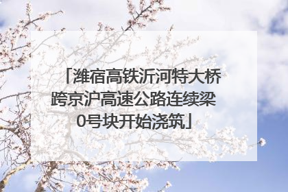 潍宿高铁沂河特大桥跨京沪高速公路连续梁0号块开始浇筑