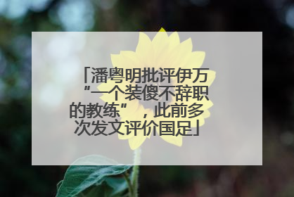 潘粤明批评伊万“一个装傻不辞职的教练”，此前多次发文评价国足