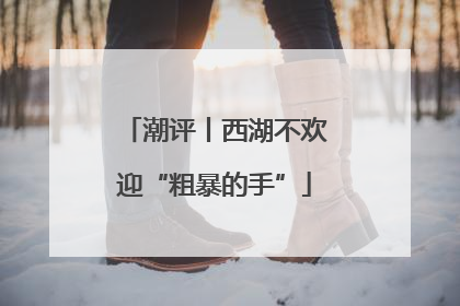 潮评丨西湖不欢迎“粗暴的手”