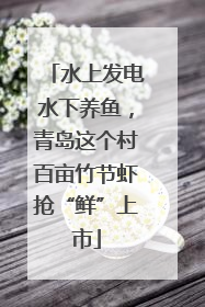 水上发电水下养鱼，青岛这个村百亩竹节虾抢“鲜”上市