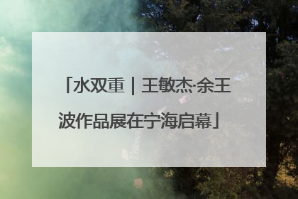 水双重｜王敏杰·余王波作品展在宁海启幕