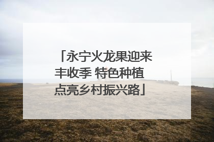 永宁火龙果迎来丰收季 特色种植点亮乡村振兴路