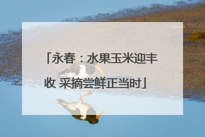永春：水果玉米迎丰收 采摘尝鲜正当时