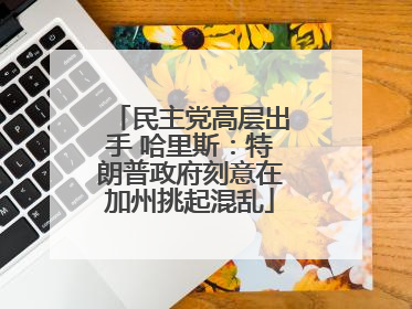 民主党高层出手 哈里斯：特朗普政府刻意在加州挑起混乱