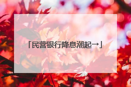 民营银行降息潮起→