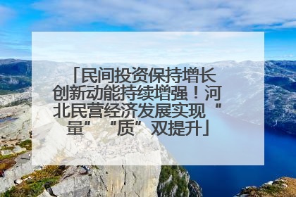 民间投资保持增长 创新动能持续增强！河北民营经济发展实现“量”“质”双提升
