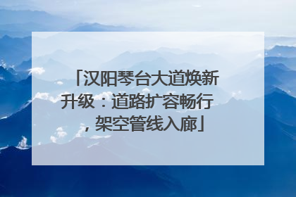 汉阳琴台大道焕新升级：道路扩容畅行，架空管线入廊