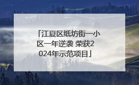 江夏区纸坊街一小区一年逆袭 荣获2024年示范项目