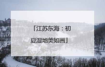 江苏东海：初夏湿地美如画