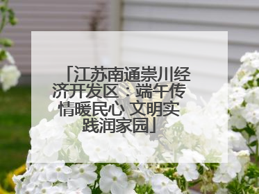江苏南通崇川经济开发区：端午传情暖民心 文明实践润家园