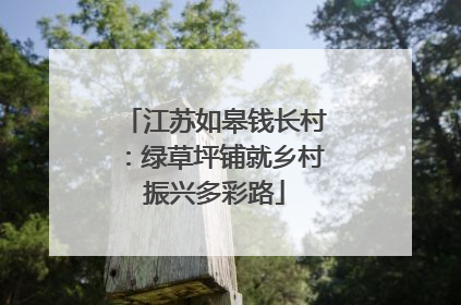 江苏如皋钱长村：绿草坪铺就乡村振兴多彩路