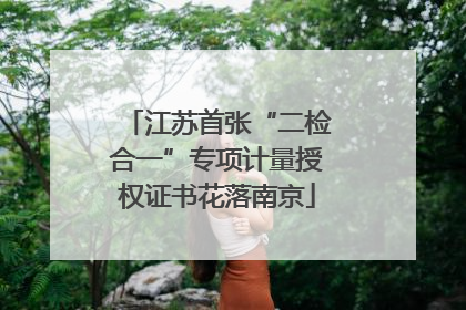 江苏首张“二检合一”专项计量授权证书花落南京
