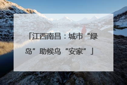 江西南昌：城市“绿岛”助候鸟“安家”