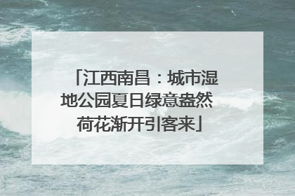 江西南昌：城市湿地公园夏日绿意盎然 荷花渐开引客来