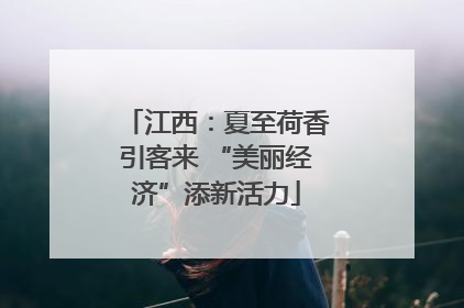 江西：夏至荷香引客来 “美丽经济”添新活力